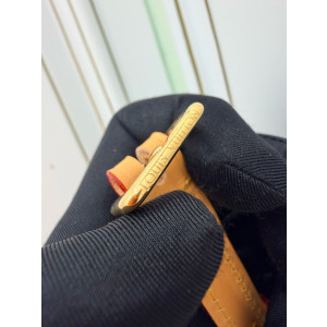 LOUIS VUITTON 골드 카드지갑